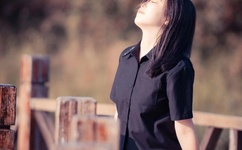 欧美精品一区二区A片免费